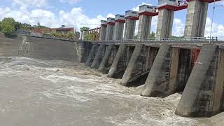 pladu sungai Brantas Bendungan serut blitar banjir lumpur