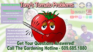 Tony's Tomatoes Have a Common Problem! | Check it out! | DIY | Do It Yourself | You Can Do This!!!