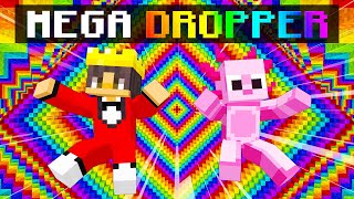 NOOB vs PRO MEGA RAINBOW DROPPER Challenge In Minecraft!