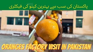 Visited Top Oranges Factory of Pakistan 🇵🇰 پاکستان کی سب سے بہترین کینو کی فیکٹری