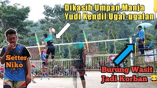 Dimanjakan Toser Niko.Yudi Kendil Ugal-ugalan Dan Lakukan Spike cuek!!