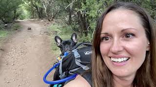 HIKING FAMOUS ARIZONA WATERFALL // PETRIFIED FOREST NATIONAL PARK