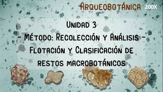 Unidad 3: Recolección y Análisis - Flotación y Clasificación