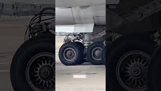 Plane Wheel