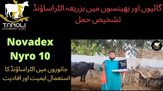 Ultrasound Scanning in Cattle and Buffalo||Tackling Reproduction-Breeding Issues ||Nyro 10-Novadex