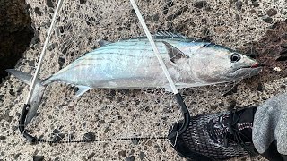 Pesca en la Isla de Fuerteventura