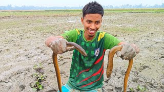 Best Eel Fishing | Boy Going to Catch Big Yellow Eel Fish | Eel fish catching