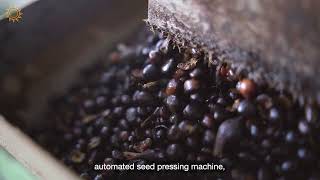 A Modern Kernel Crushing Plant (KCP) Balikpapan l Episode 2