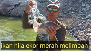 spot waduk Bajul mati ikan nila nya besar besar