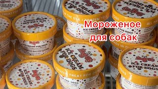 431. Мороженое для собак.