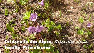 La vallée des Ayes, Briançon