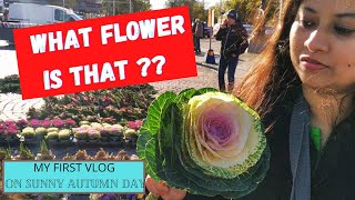 My First Vlog || Sunny Nordic Autumn || Aerokom Kichu Aage Kokhono Dekhi Nii || Vlog#01