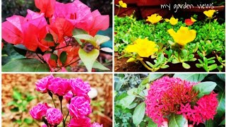 Garden views  #homegarden #gardenview  #gardenvedeo #khairoozfoodcyyutubechannel