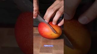 Penampakan Mangga Termahal #shorts