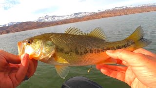 Snow on the Mountain and Fish in the Boat // Roosevelt Lake AZ