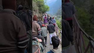 river yamuna @ Yamunotri trek route #yamunotridham #yamunotri #chardham #chardhamyatra #chardham2024