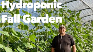 Hydroponic Fall Garden