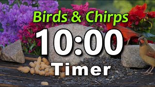 10 Minute Timer | Bird Kiss | ⏰ Bell Alert | No Music | Birds Chirping | Big Numbers