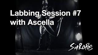 Labbing Session #7 with Ascella