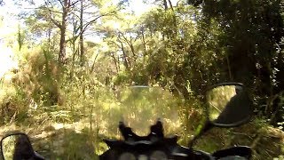 The V-strom in a jungle adventure!offroad