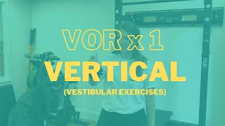 VORx1 Vertical - Vestibular Physical Therapy Exercise