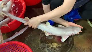 Walking around Asian Fish Market | Baby Shark Fin Cutting Skill | FLV Official