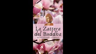 La zattera del Buddha #shorts