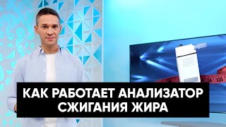 Анализатор сжигания жира — полезный гаджет для худеющих?