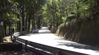 Adriana Barbosa (Fiat 500 Abarth)