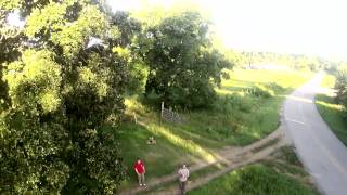 'The Spine' - drone flight through old oak trees