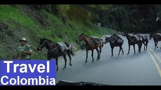 Hitchhike Americas #42 Almost hit the horses