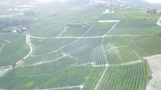 Aurelio Settimo Vineyards (Drone Tour)