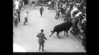 Running of the Bulls: Pamplona Spain 1955