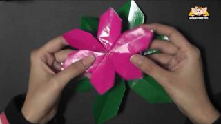 Origami in Marathi - Make a Poinsettia Flower