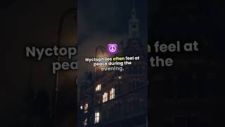 Why Nighttime Inspires Creativity & Peace | Nyctophile Vibe #Nyctophile #humanityuapd #PeacefulNight