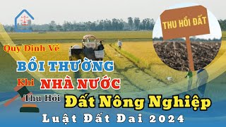 Luật Đất Đai 2024 | Quy định về bồi thường khi nhà nước thu hồi đất nông nghiệp