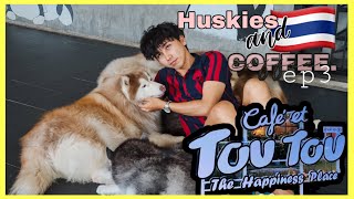 Husky Cafe Et Tou Tou | Cafe In Thailand Vlog 3 🇹🇭