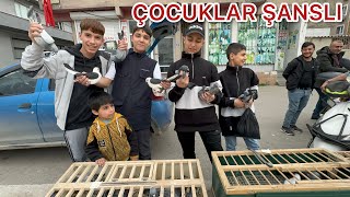 BAKIN NE EMEK VERİYORUZ GENÇLERİMİZ YANLIŞ İŞLER KOVALAMASIN DİYE KUŞÇULUĞU AŞILIYORUZ