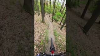 Flow dry trail #trekbikes #rail #gx  #enduro #ebike #mtb #flow #trail  #insta360go3 #bosch #cx