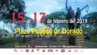 CARNAVAL DEL PLATA JUAN BORIA EN DORADO 2019