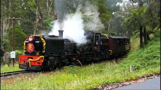 The Polar Express at Puffing Billy