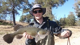 Yaking For Murray Cod