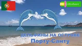 Охота за дельфинами в атлантическом океане. Dolphins in the ocean. Порту-Санту с моря