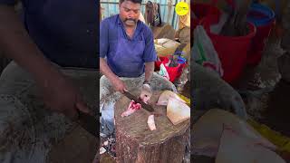 KASIMEDU SPEED SELVAM STINGRAY FISH CUTTING VIDEO / cutting focus #kasimeduselvam #bigfishcutting