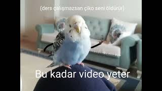 Bu kadar video yeter #shorts