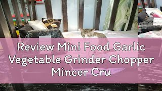 Review Mini Food Garlic Vegetable Grinder Chopper Mincer Crusher