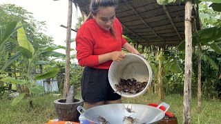 Fried Crabs with Chili