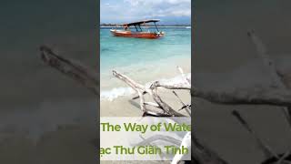 Avatar The Way of Water / Nhạc không lời có tiếng sóng biển