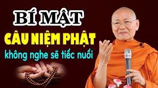 Bí Mật Câu Niệm Phật Không Phải Ai Cũng Biết - cực hay | Hòa Thượng Viên Minh