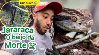 UMA ENORME JARARACA/A COBRA QUE MAIS MATA NO BRASIL/QUASE PISO NELA😱NÃO TIVE OUTRA ESCOLHA...